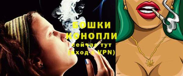 сатива Надым