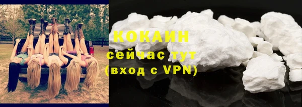 гидра Фёдоровский