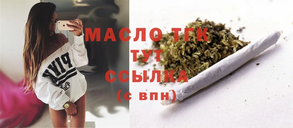 сатива Надым