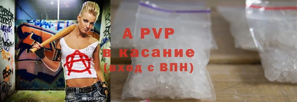 сатива Надым