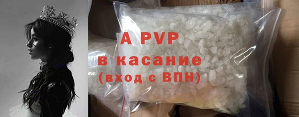 сатива Надым