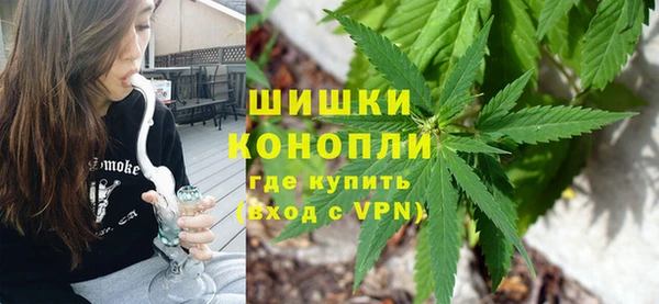 сатива Надым