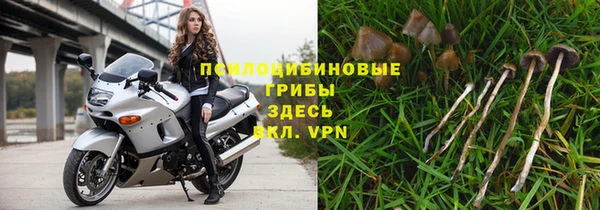 сатива Надым