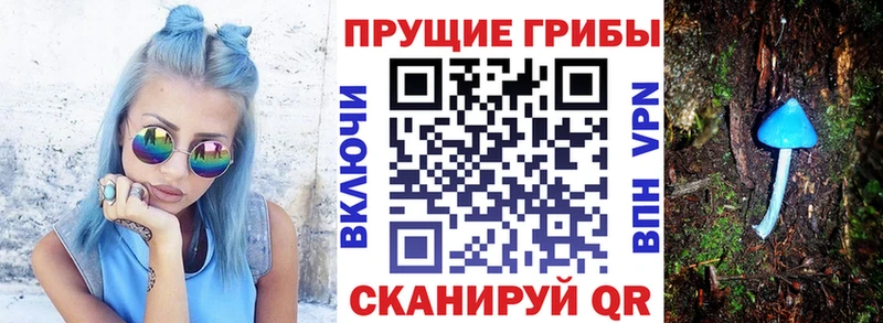 МЕГА ссылка  Троицк  Псилоцибиновые грибы ЛСД  продажа наркотиков 