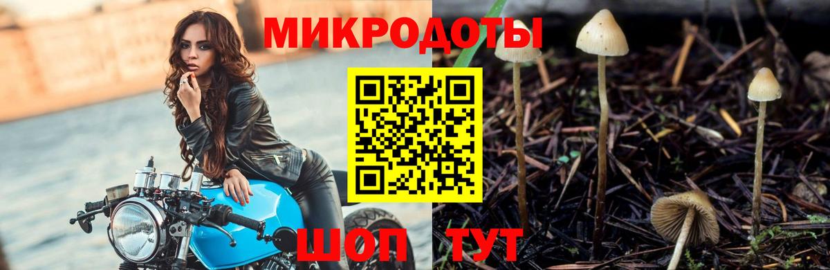 Троицк  Псилоцибиновые грибы мицелий  Вход с VPN  Псилоцибиновые грибы Psilocybine cubensis 