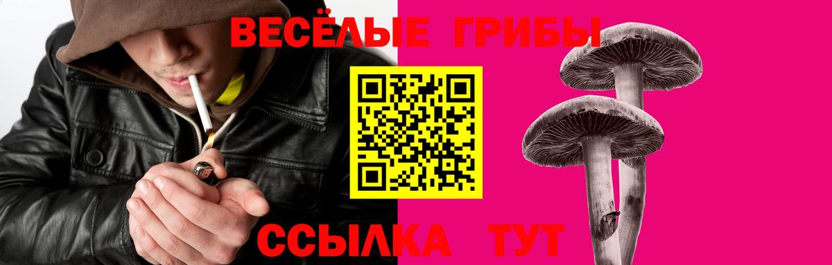 Псилоцибиновые грибы мицелий Троицк